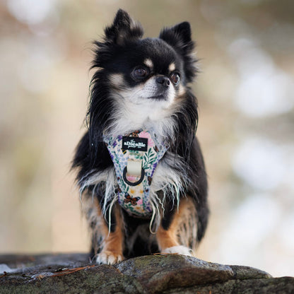 Hike & Go Lite™ Harness - Bumbles & Butterflies