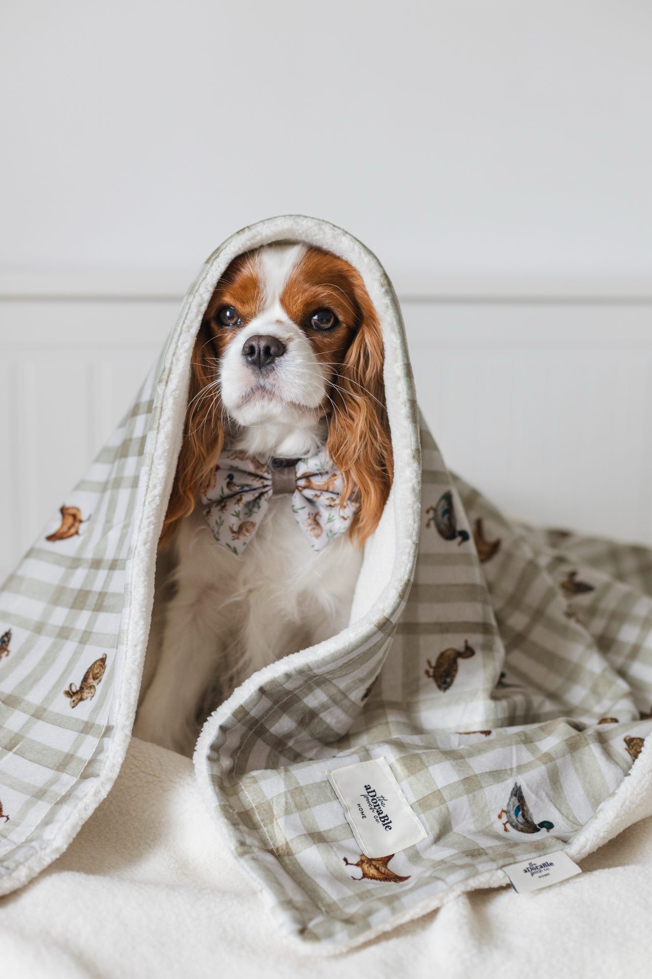 Dog & Puppy Bed Blanket - Cotswold Cottage
