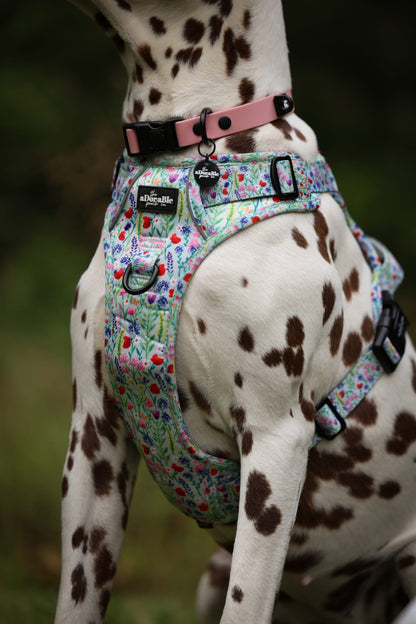 HydroFlex Lite™ Dog Collar - Marshmallow Pink