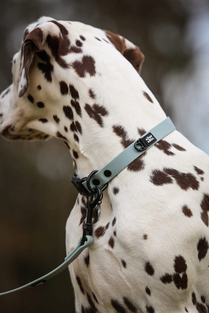 HydroFlex Lite™ Dog Collar - Sky Blue