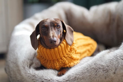 Hand Knitted Dachshund Jumper - Mustard Yellow