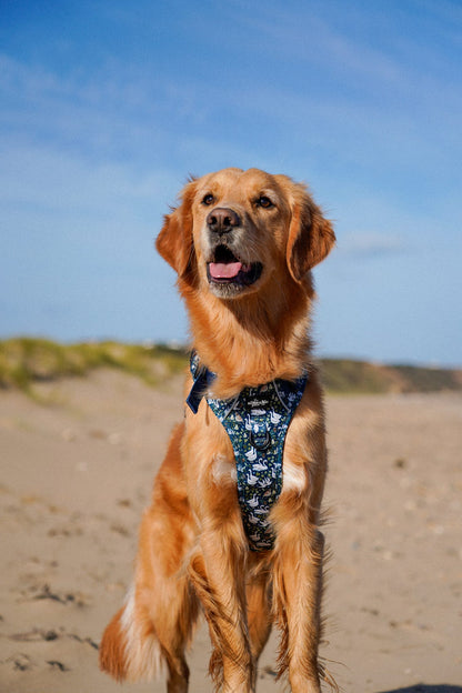 Hike & Go Lite™ Harness - Twelve Days