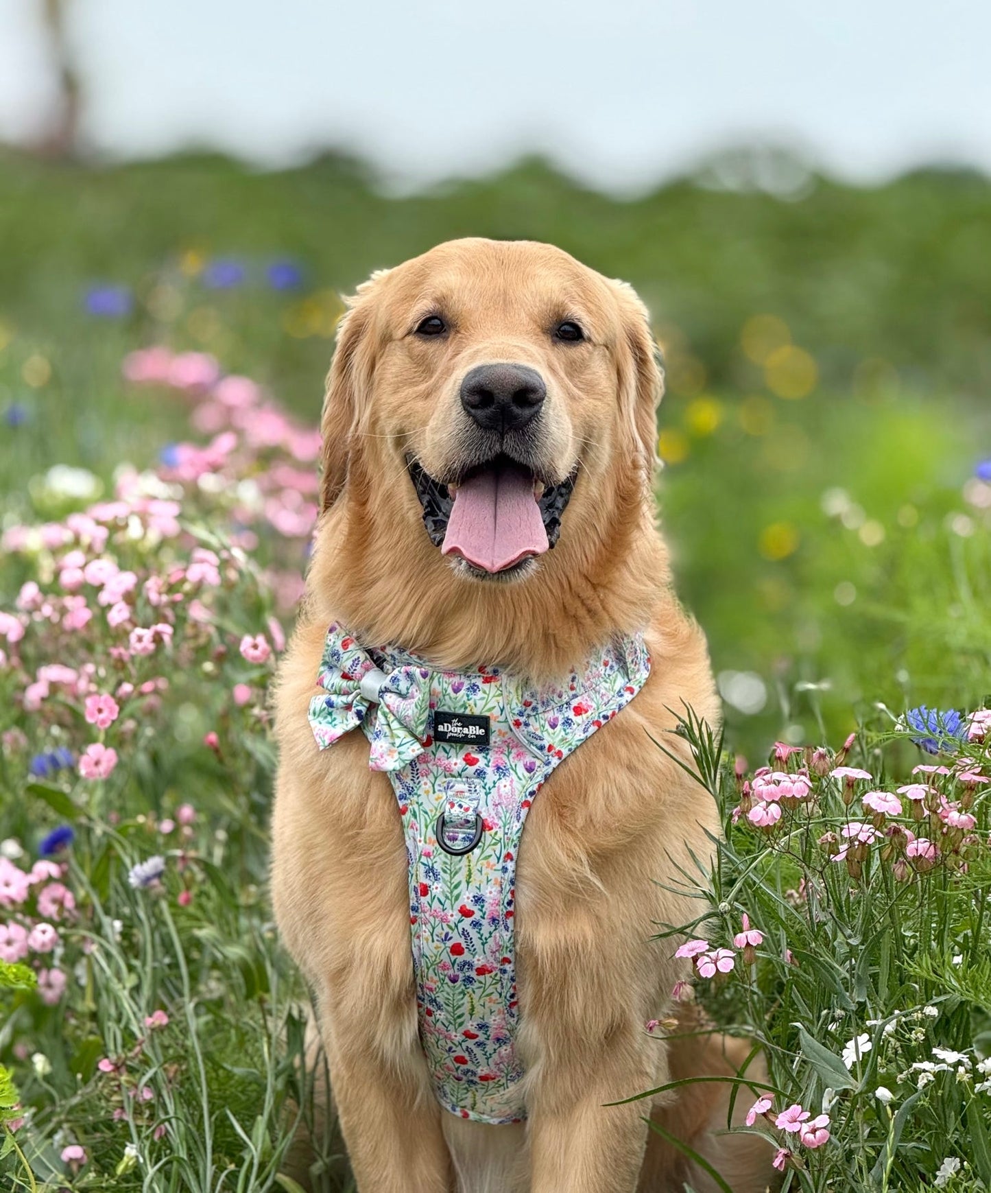 Hike & Go Lite™ Harness - Wildflower Meadow