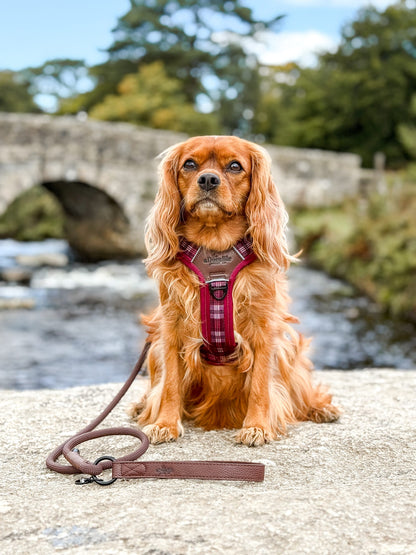 Heritage Faux Leather Rope Dog Lead - Brown