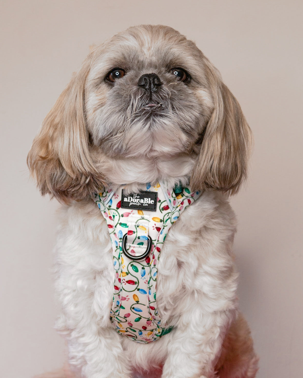 Hike & Go Lite™ Harness - Festive Lights