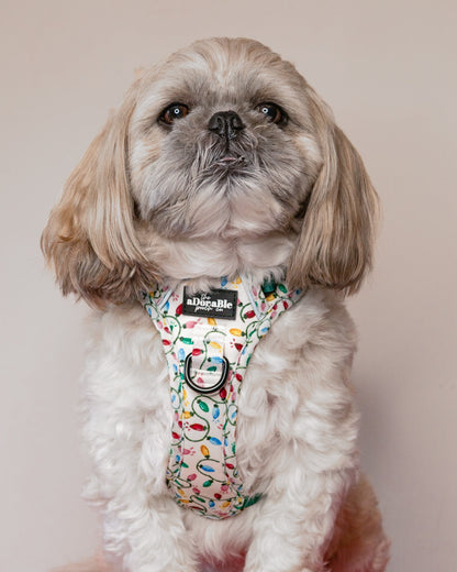Hike & Go Lite™ Harness - Festive Lights