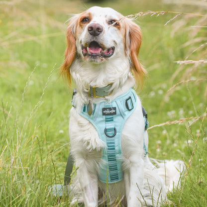 Hike & Go™ Harness - Hint Of Mint