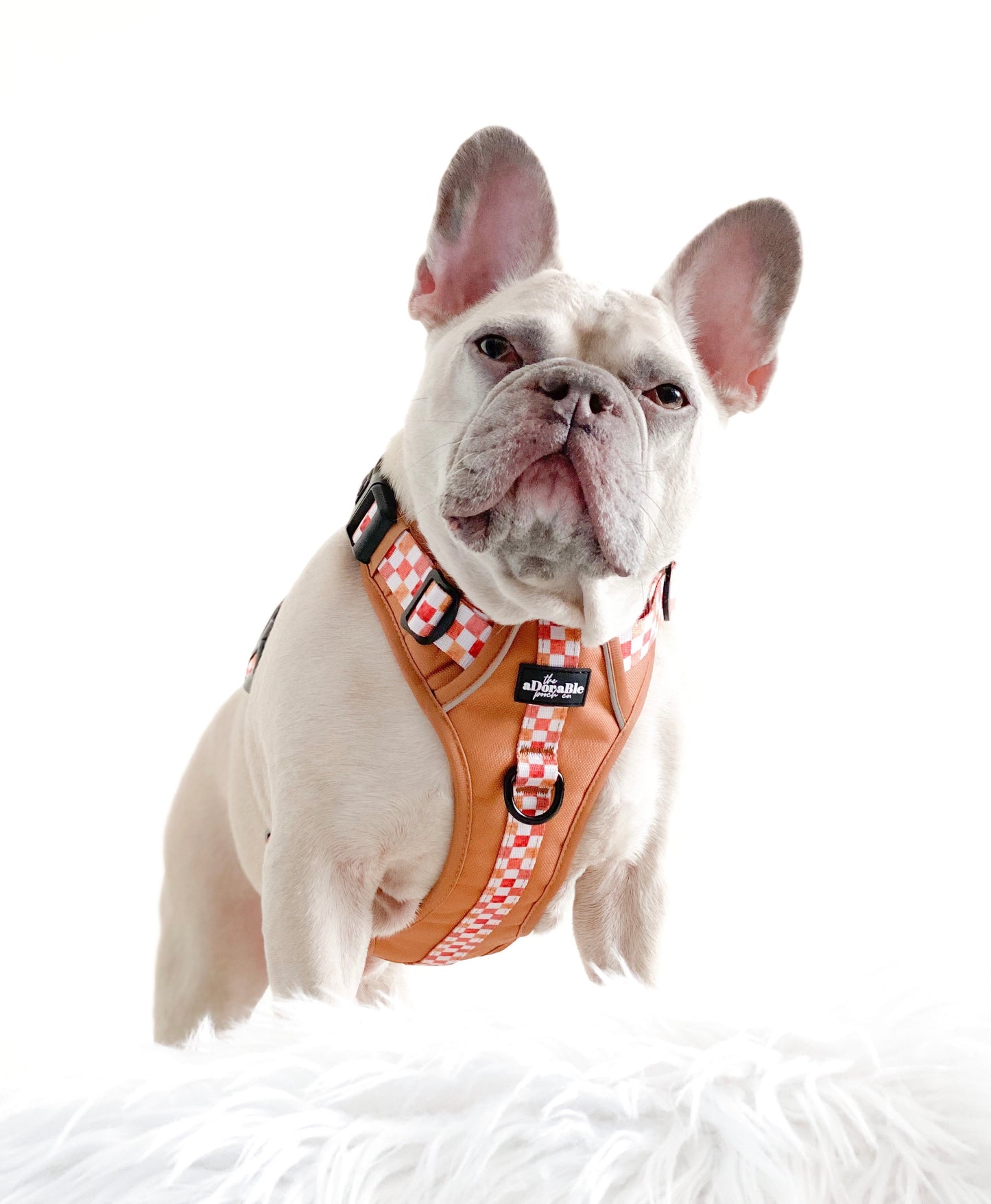 Hike & Go™ Harness - Gingerbread Waffle