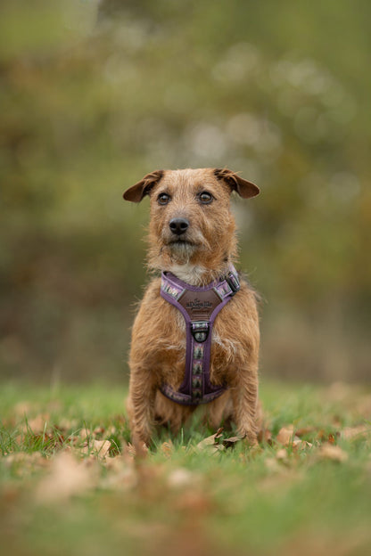 Streamline Pro™ Dog Harness - Moonlit Pines