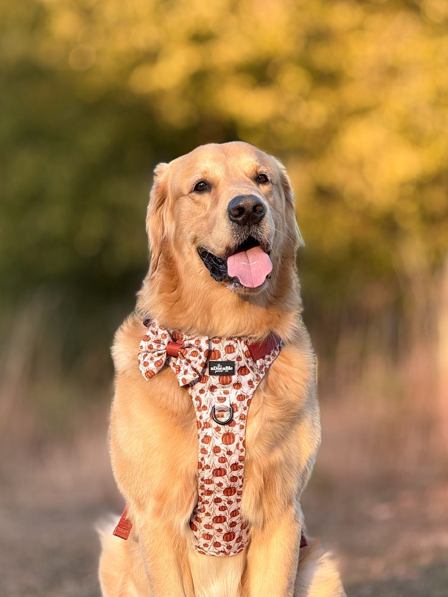 Hike & Go™ Harness - Pumpkin Farm