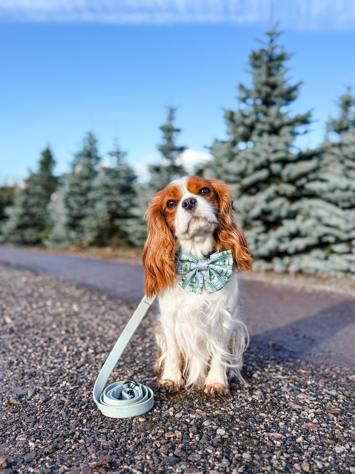 Sailor Bow Tie - Daydream Heights