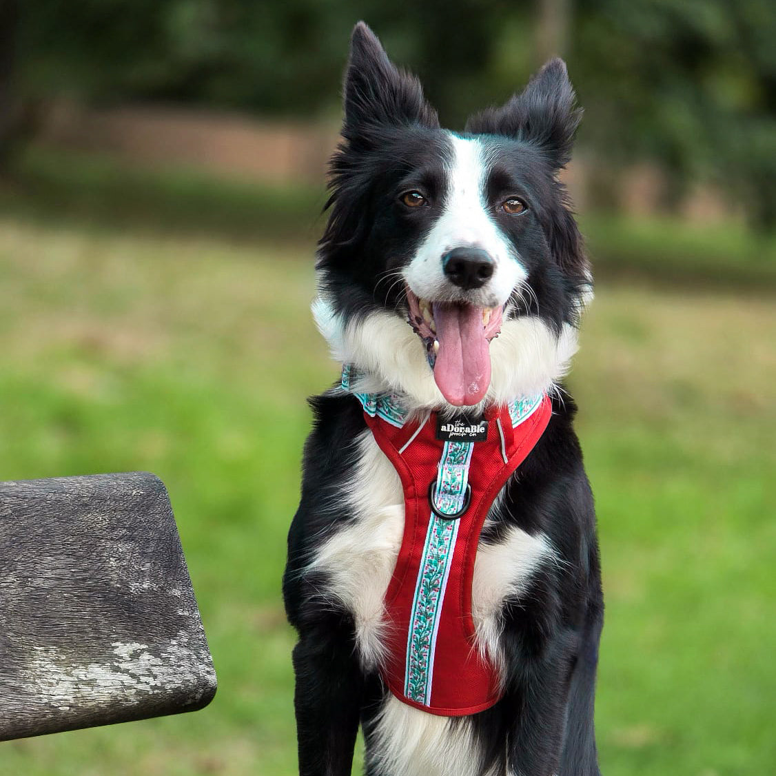 Hike & Go™ Harness - Garlands Of Evergreen