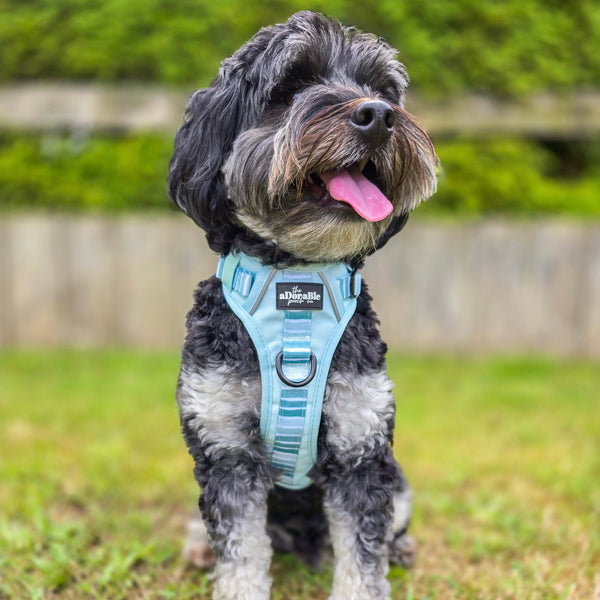 Hike & Go™ Harness - Hint Of Mint