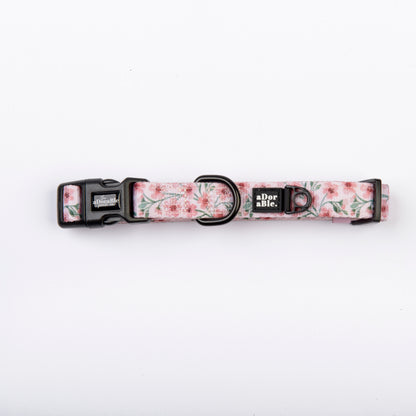 Dog Collar - Blushing Blossoms
