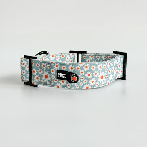 Martingale Collar - Oopsy Daisy