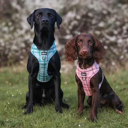 Adjustable Harness - LUXE Frosted Mint Plaid