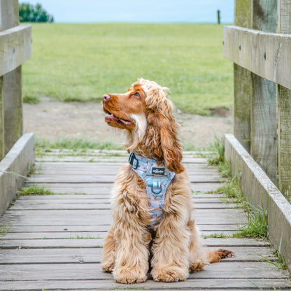 Hike & Go Lite™ Harness - Coastal Beach Grass