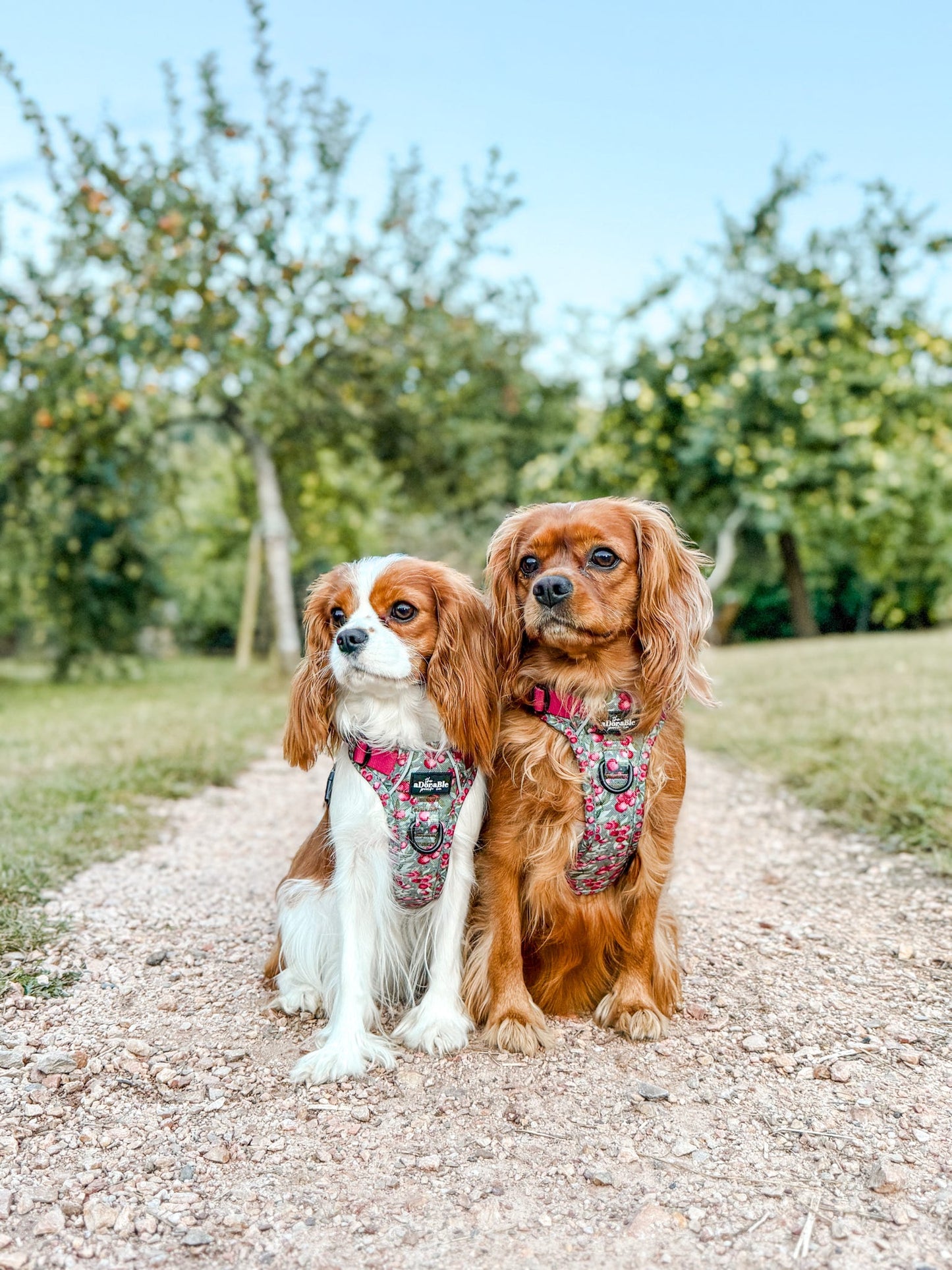 Hike & Go™ Harness - Crab Apple Cottage
