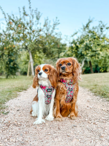 Hike & Go™ Harness - Crab Apple Cottage