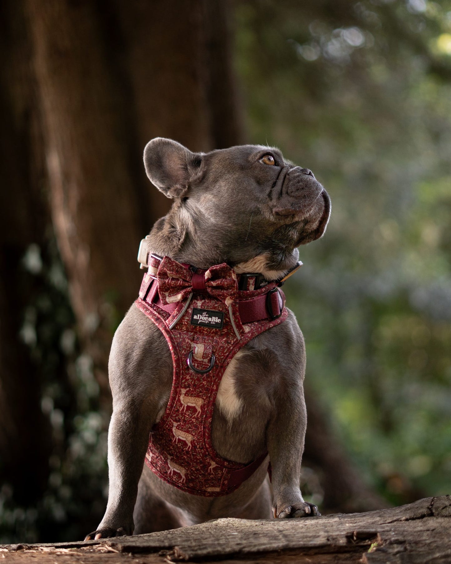 Hike & Go Lite™ Harness - Winter Fawn