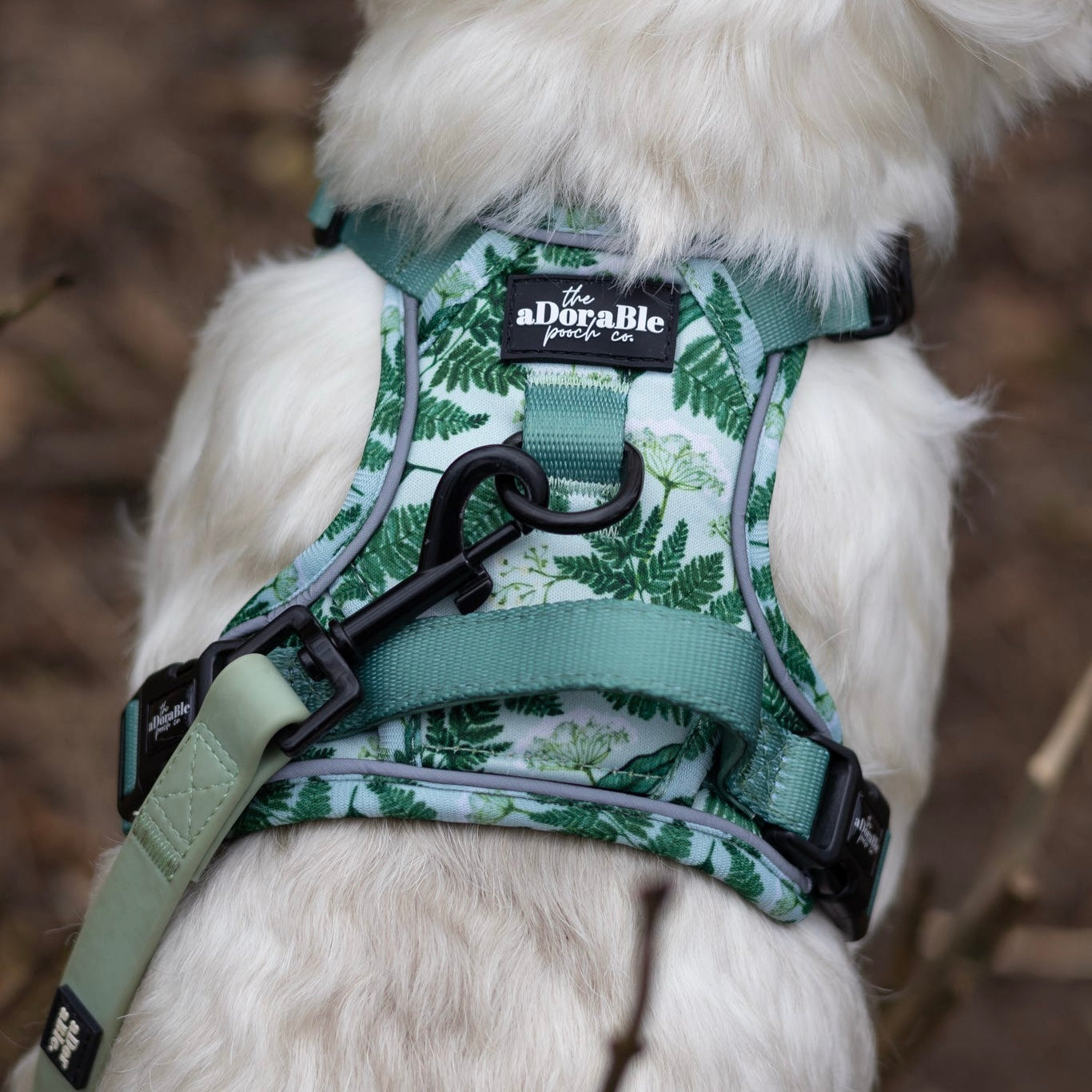 Hike & Go Lite™ Harness - Forest Of Ferns