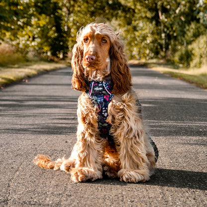 Hike & Go Lite™ Harness - Bramble Berry