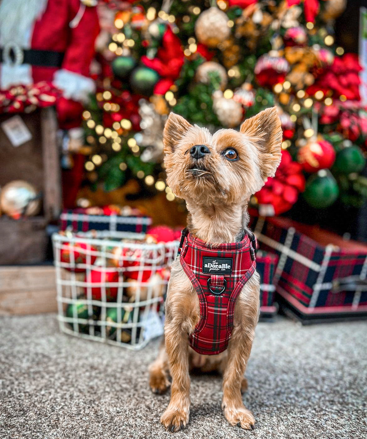 Adjustable Harness - LUXE Berry Red Plaid