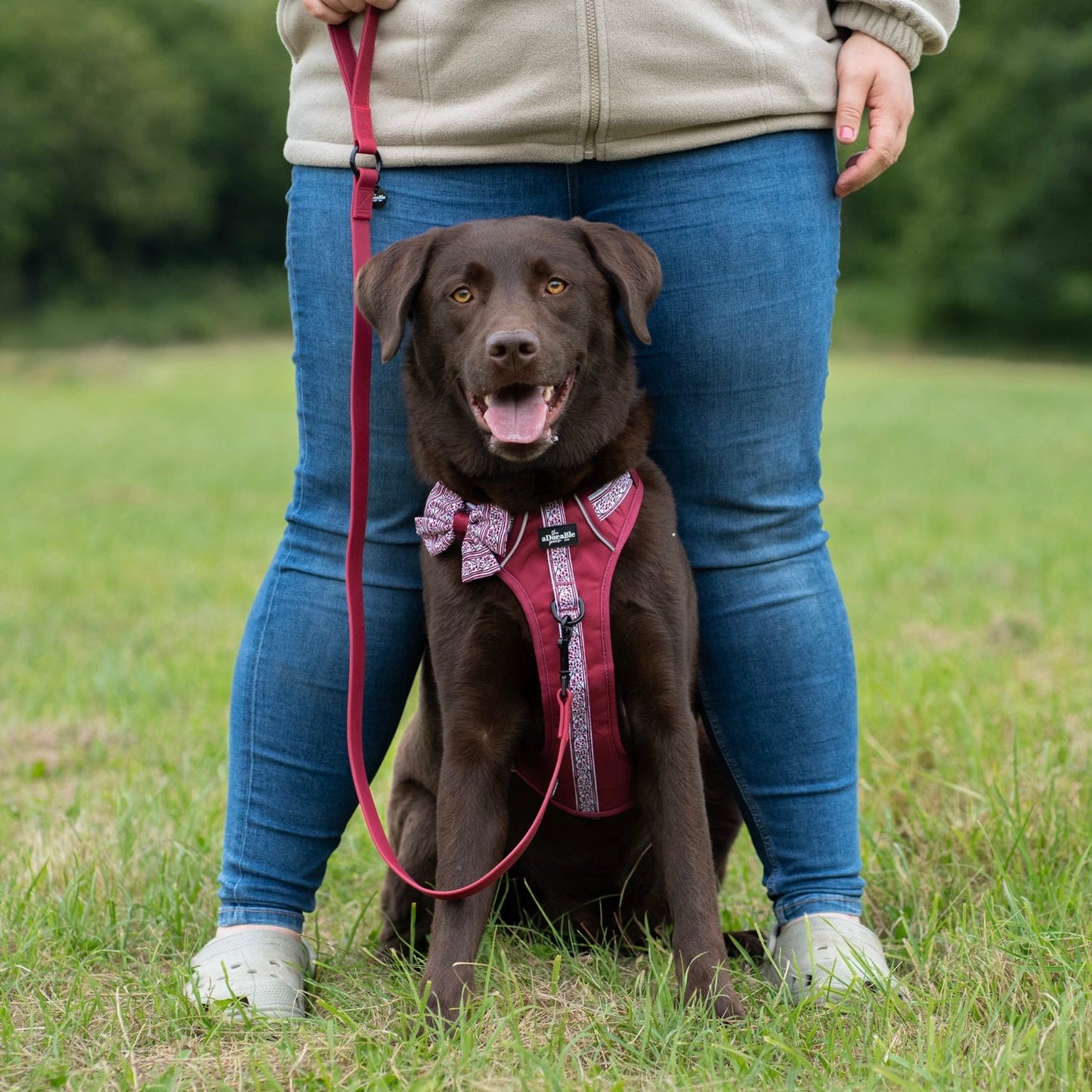 Hike & Go™ Harness - Cherrywood Ivy