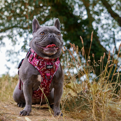 Hike & Go Lite™ Harness - Mulberry Mushrooms