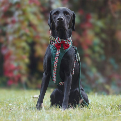 Sailor Bow Tie - Candy Cane Forest