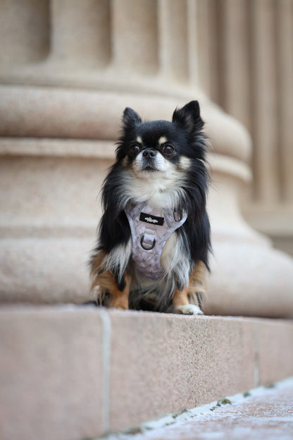 Laura Ashley Dog Harness - Magnolia Grove