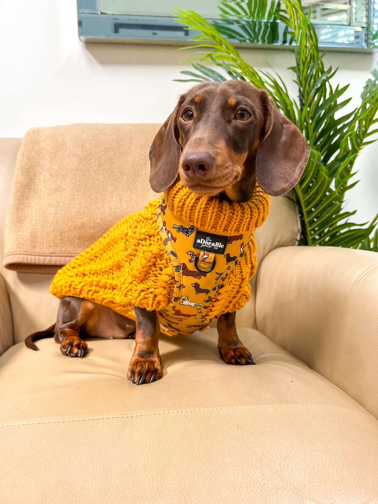 Hand Knitted Dachshund Jumper - Mustard Yellow