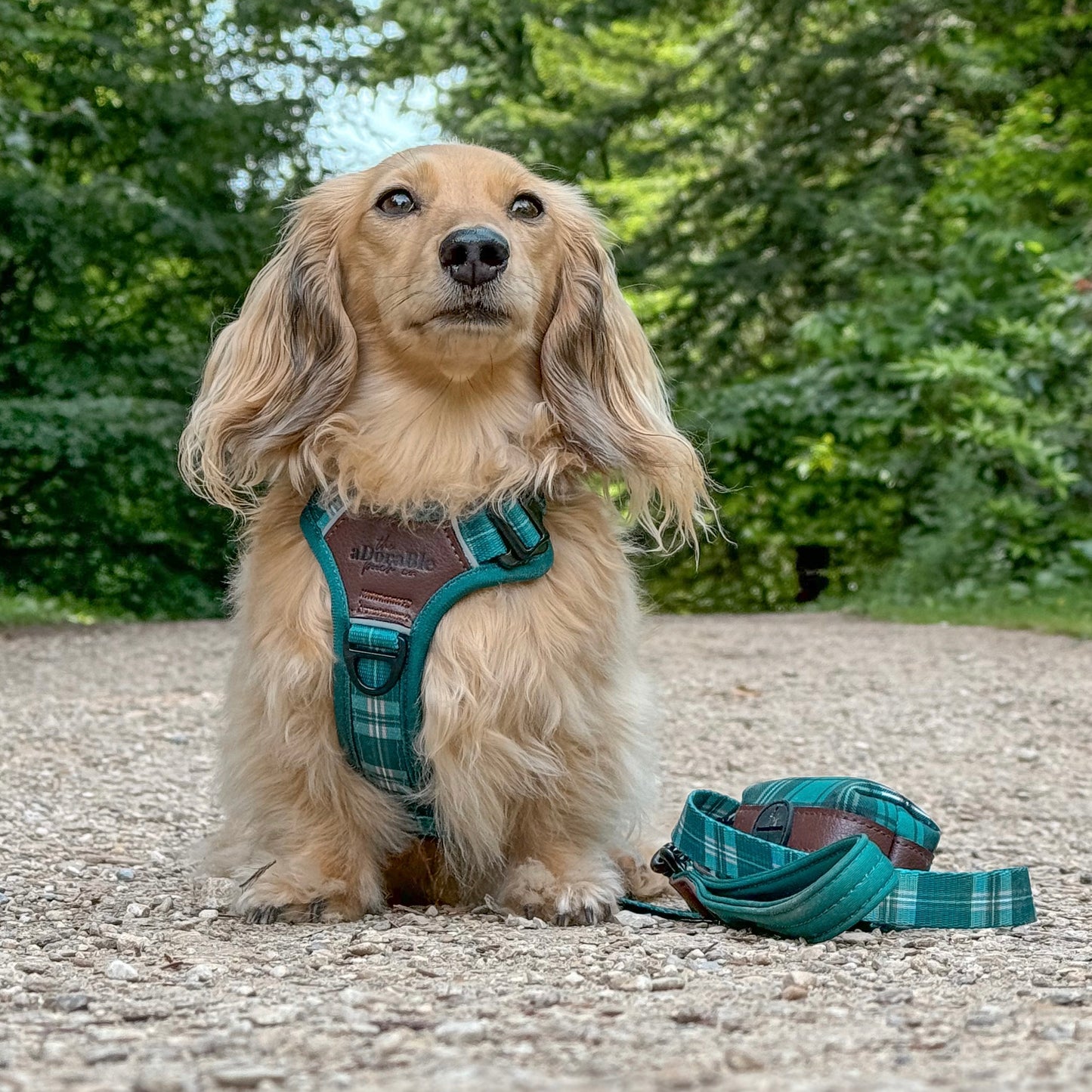 Streamline Pro™ Dog Harness - Heritage Collection - Pheasant Green