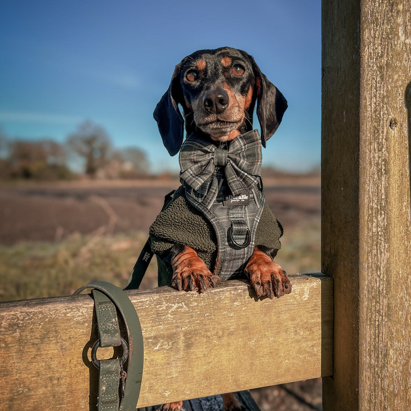 Hike & Go™ Harness - LUXE Hunter Green Plaid