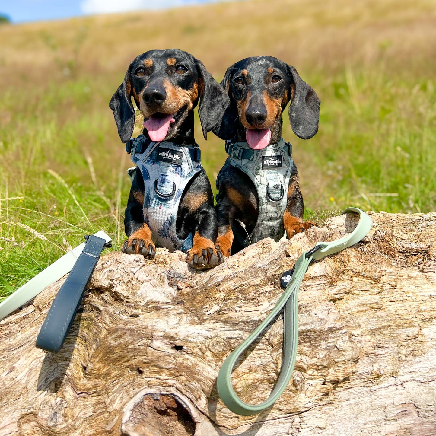 Hike & Go™ Harness - Countryside Hills