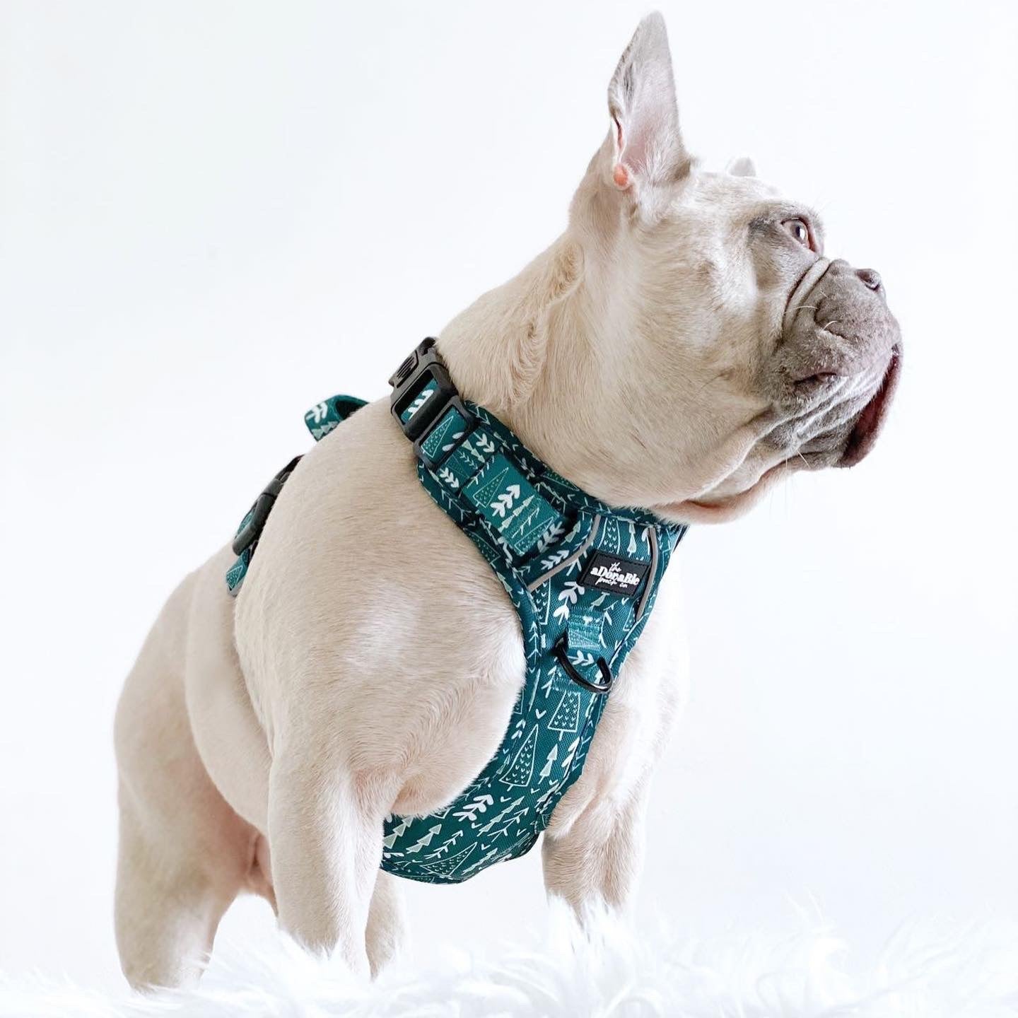 Hike & Go™ Harness - Woodland Walks - XL