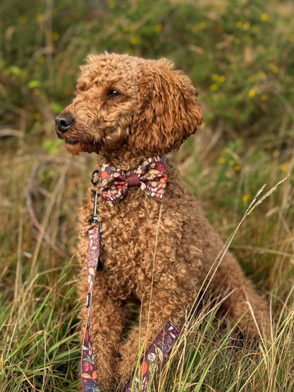 Bow Tie - Foragers Forest