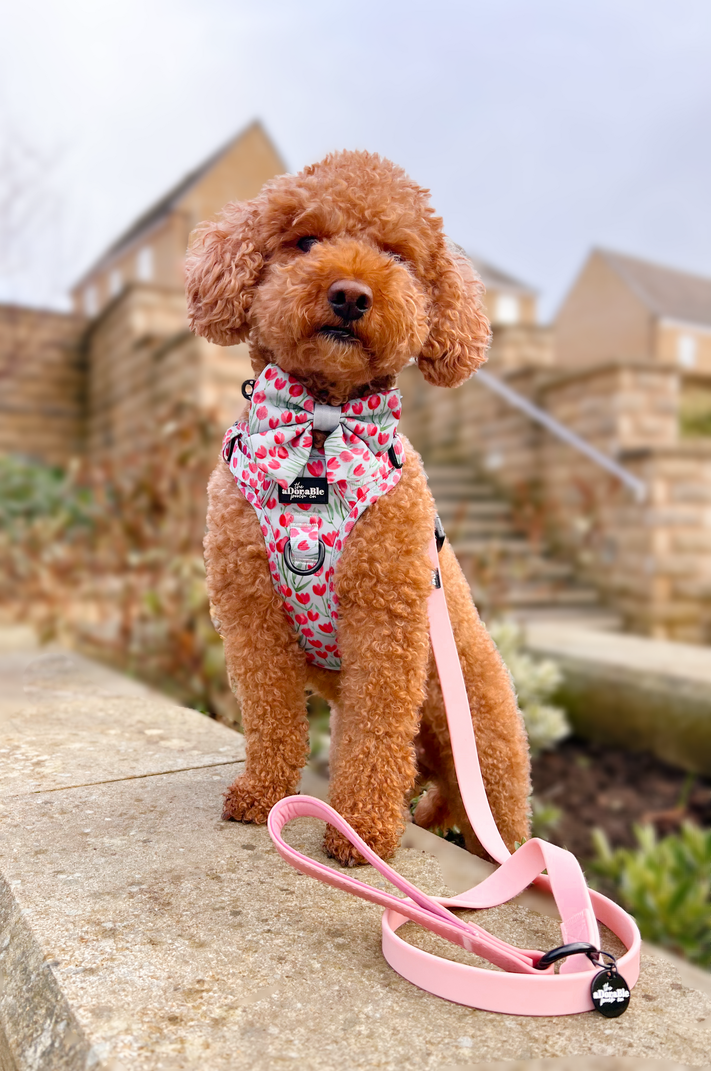 Hike & Go Lite™ Harness - Timeless Tulips