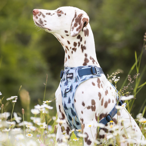 Hike & Go™ Harness - Fresh Pines