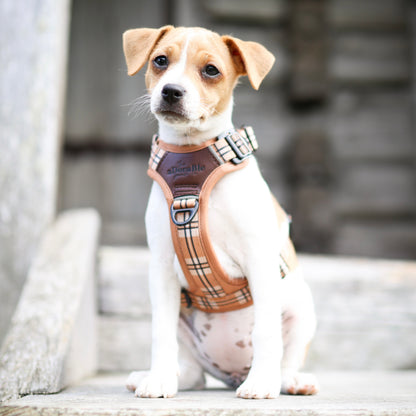 Streamline Pro™ Dog Harness - Heritage Collection - Butterscotch Biscuit