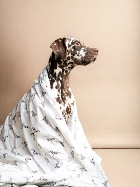 Supersize Soft Blanket - Watercolour Dalmatians