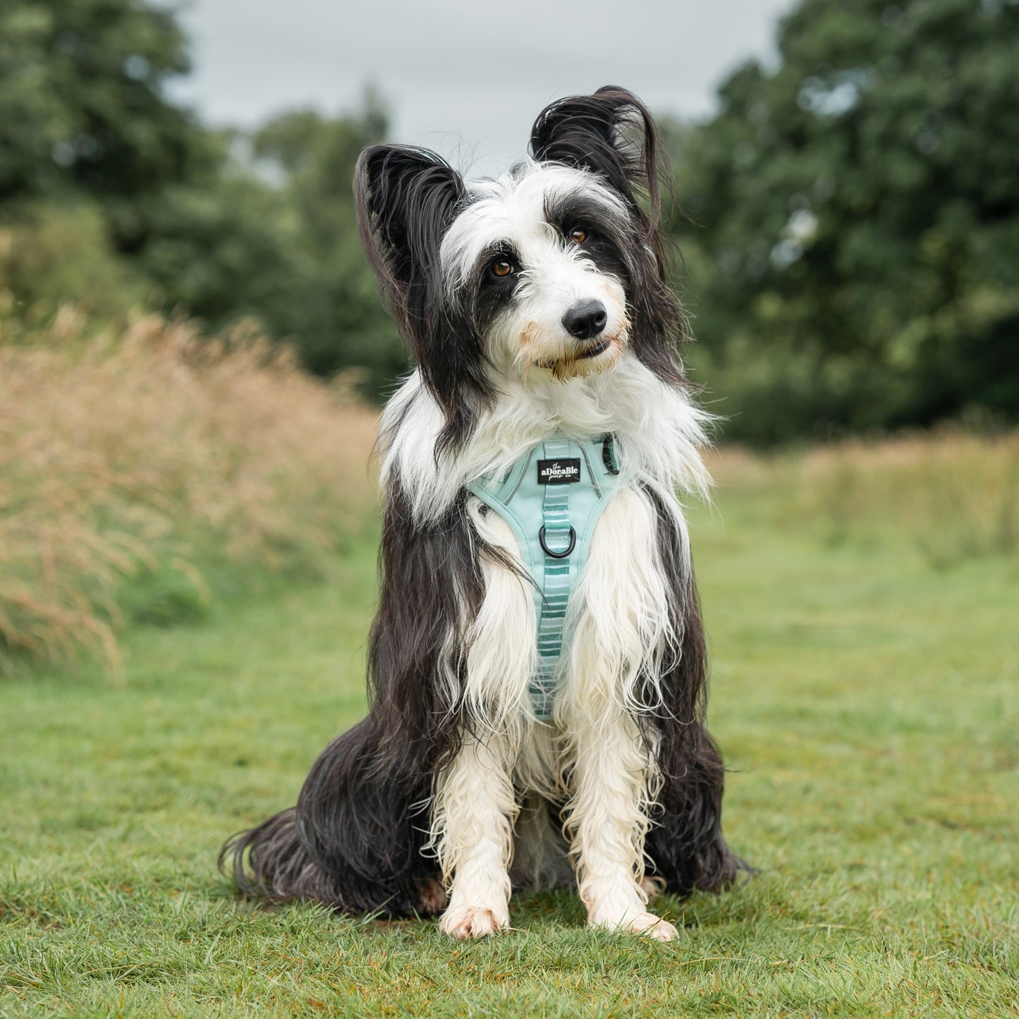 Hike & Go™ Harness - Hint Of Mint