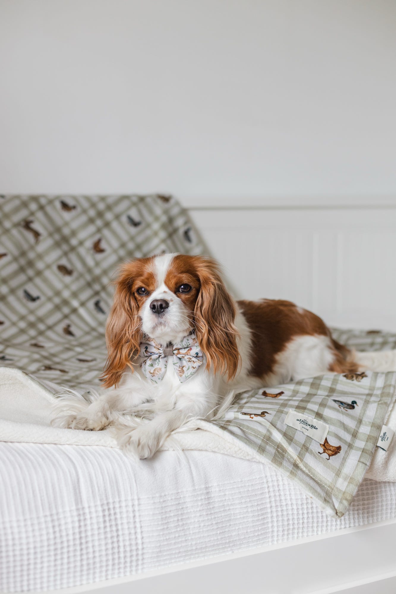 Dog & Puppy Bed Blanket - Cotswold Cottage
