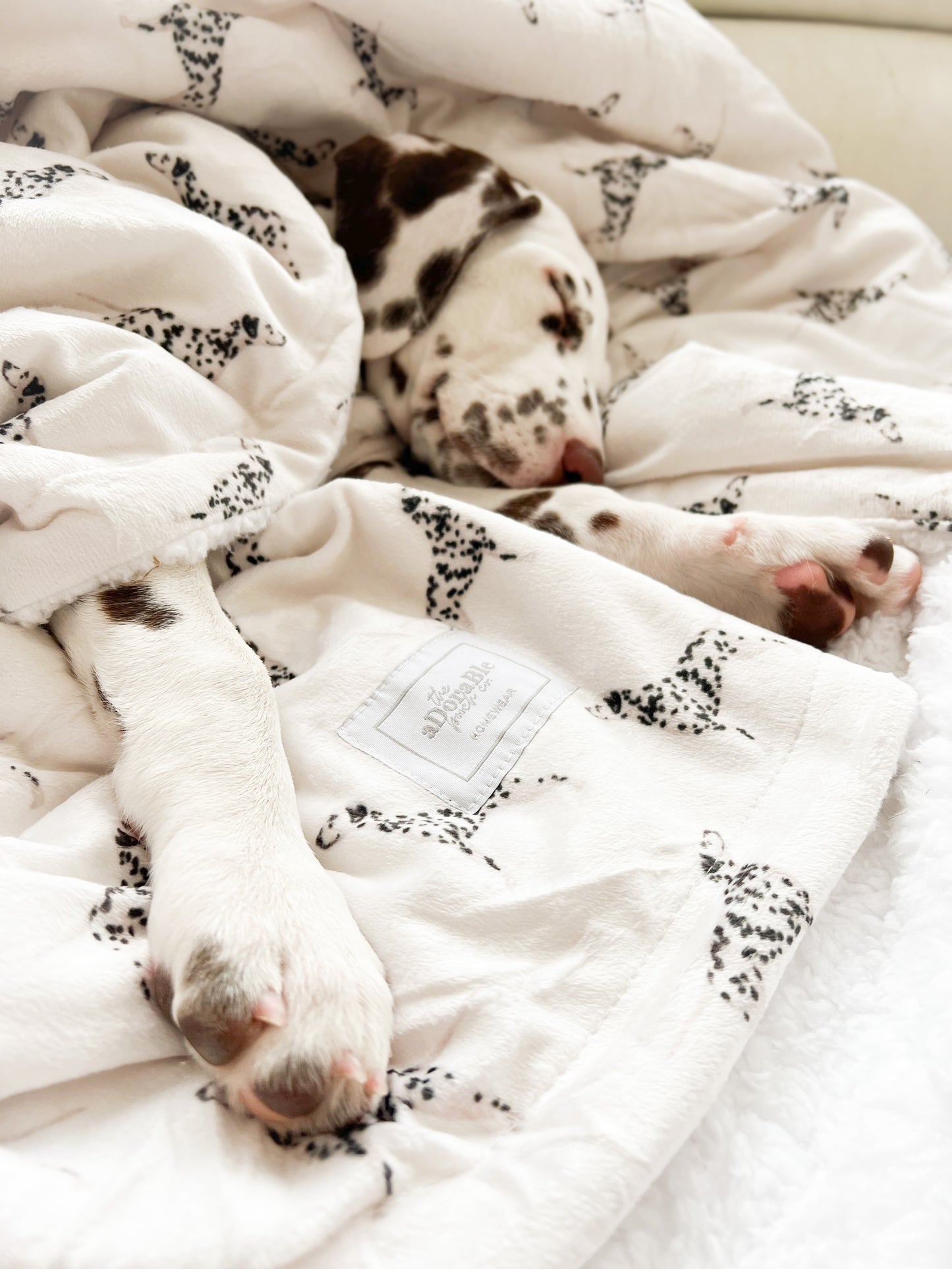 Supersize Soft Blanket - Watercolour Dalmatians