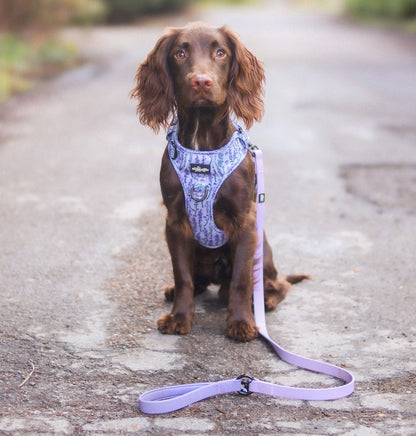 HydroFlex™ Two-tone Waterproof Dog Lead - Lavender