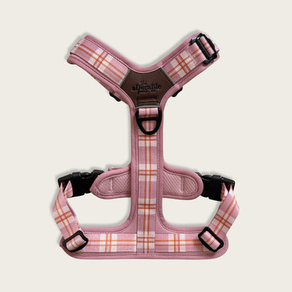 Streamline Pro™ Dog Harness - Heritage Collection - Strawberry Cottage