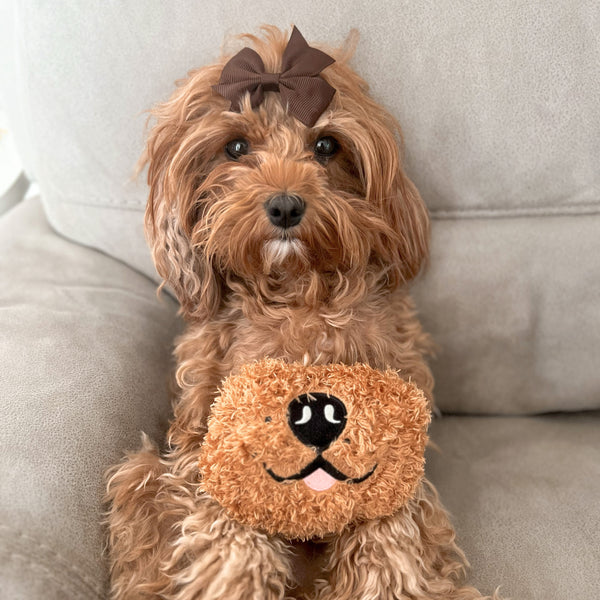 The aDoraBle Pooch Co x Boop My Nose Plush Toys