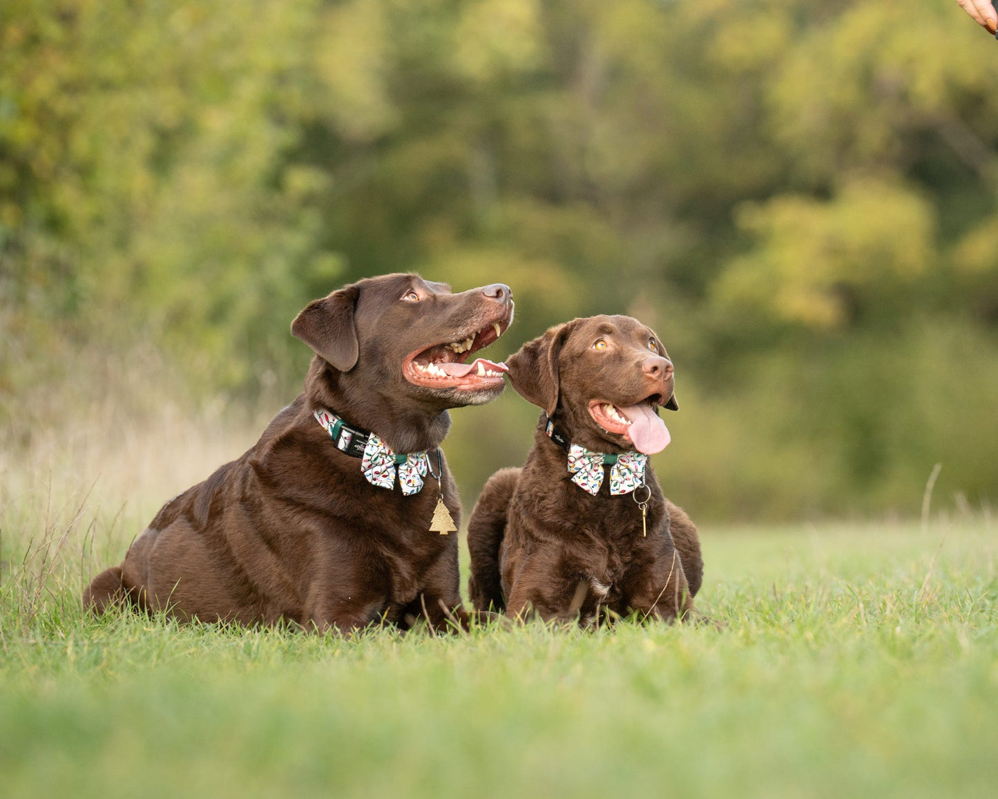 Sailor Bow Tie - Festive Lights