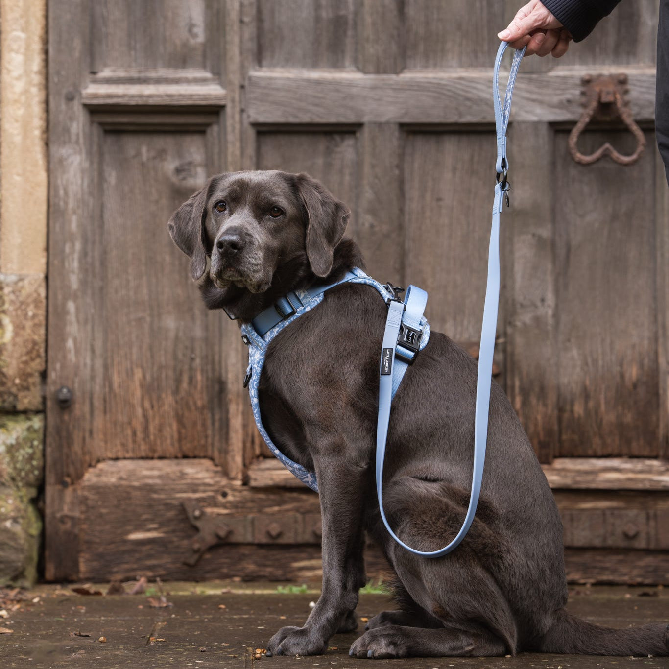Laura Ashley  Waterproof Dog Lead - Shepherd's Purse