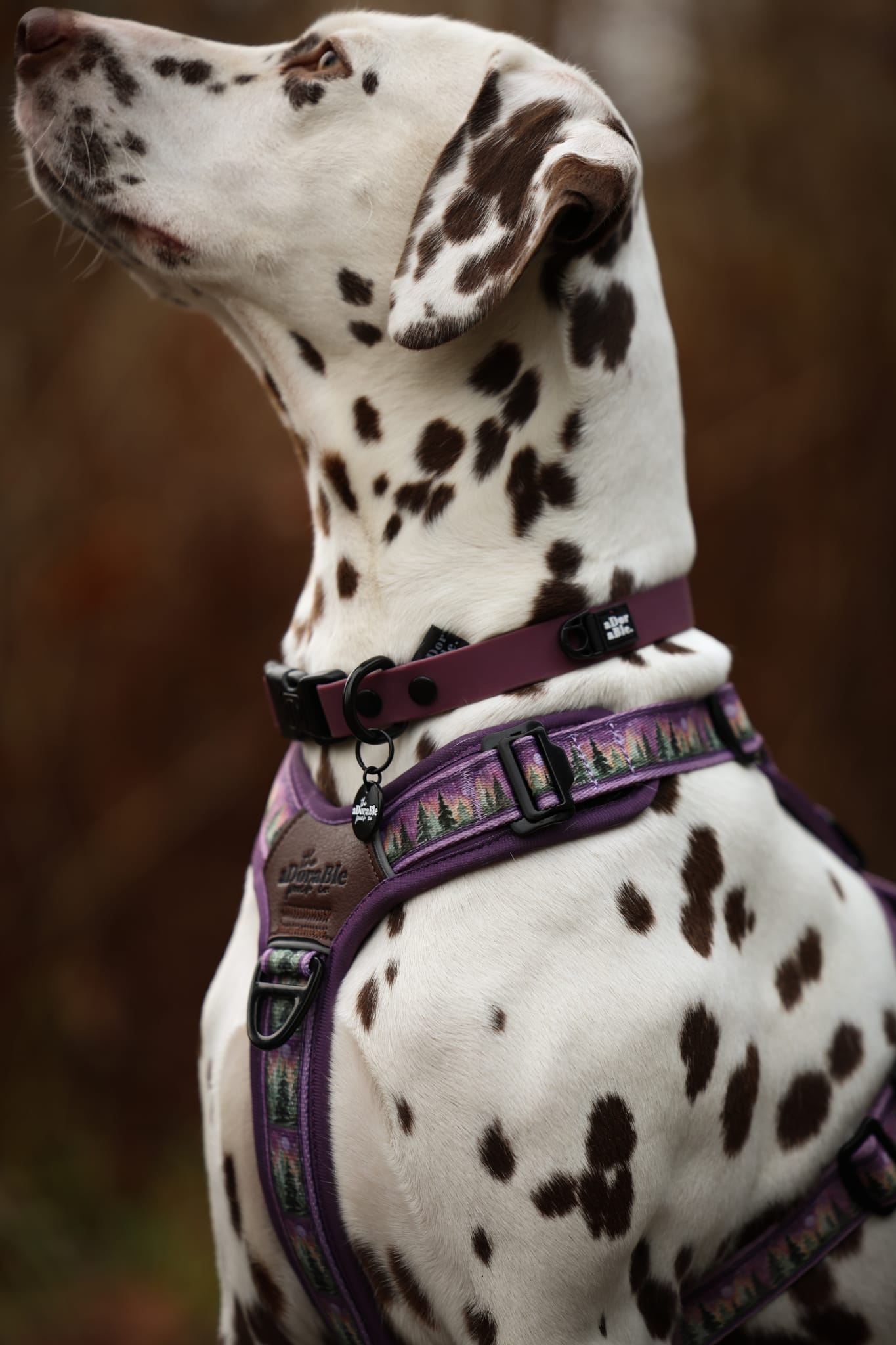 HydroFlex Lite™ Dog Collar - Purple Dusk